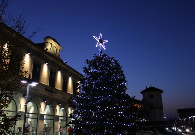 È in scena il Natale a Bra: si accende la magnolia di piazza Roma
