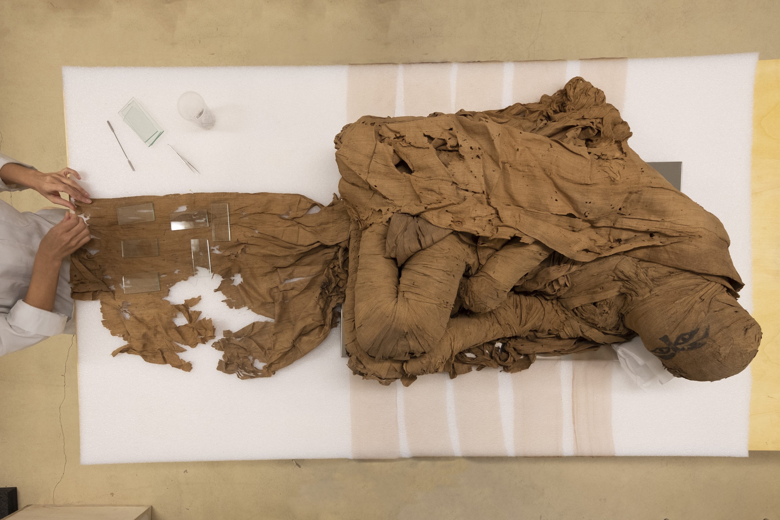 Prorogata a Palazzo Mathis la mostra “L’uomo svelato"