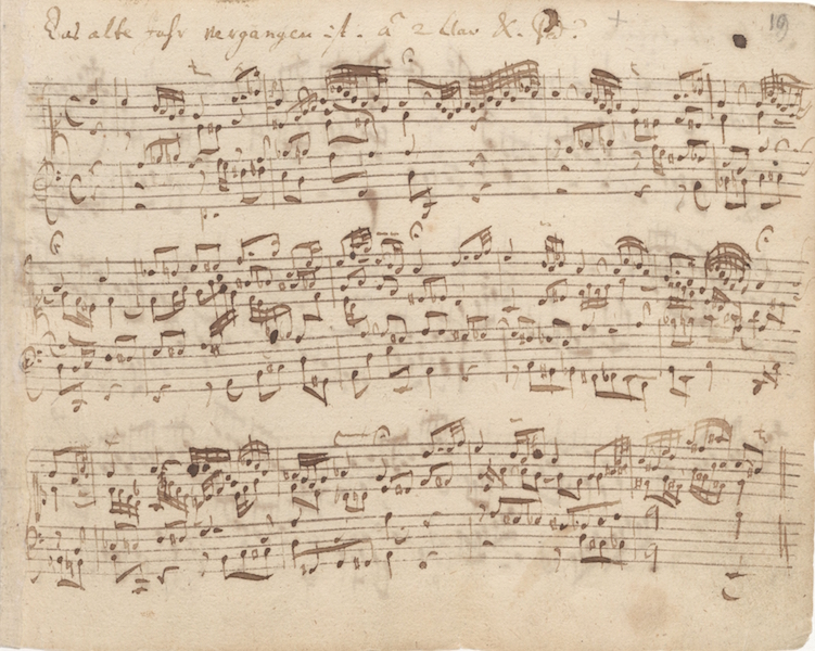 “Antiqua” a Bra: due concerti di musica classica a Palazzo Mathis