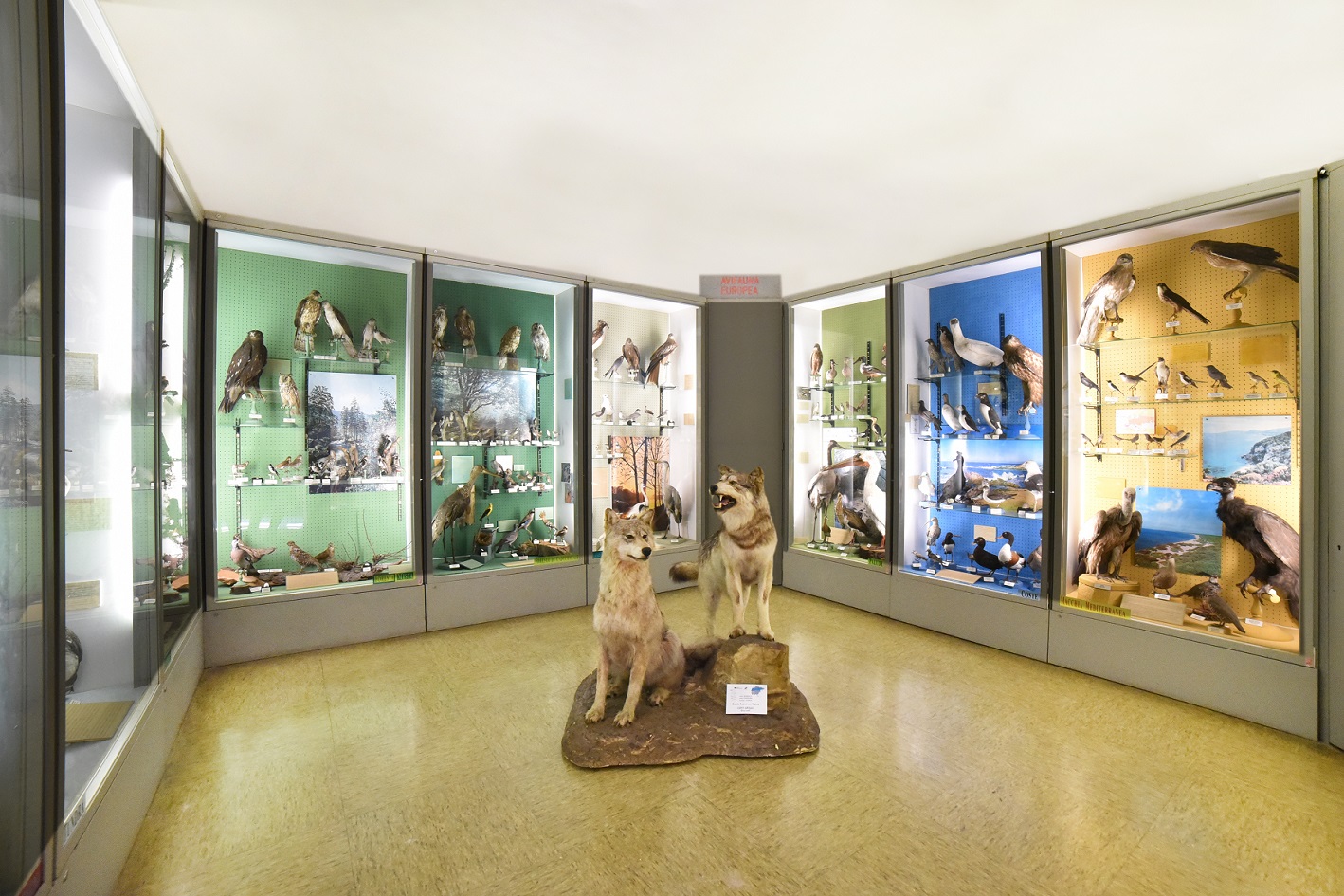 Musei aperti (e gratuiti la domenica) per il weekend del 2 giugno