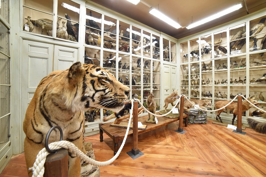 Da domenica 7 maggio riapre il Museo Craveri