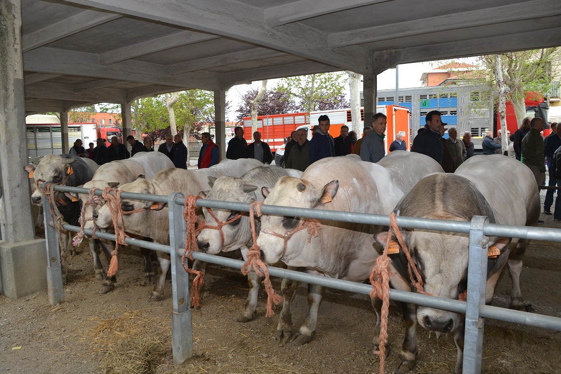Torna a Bra la Fiera di Pasquetta