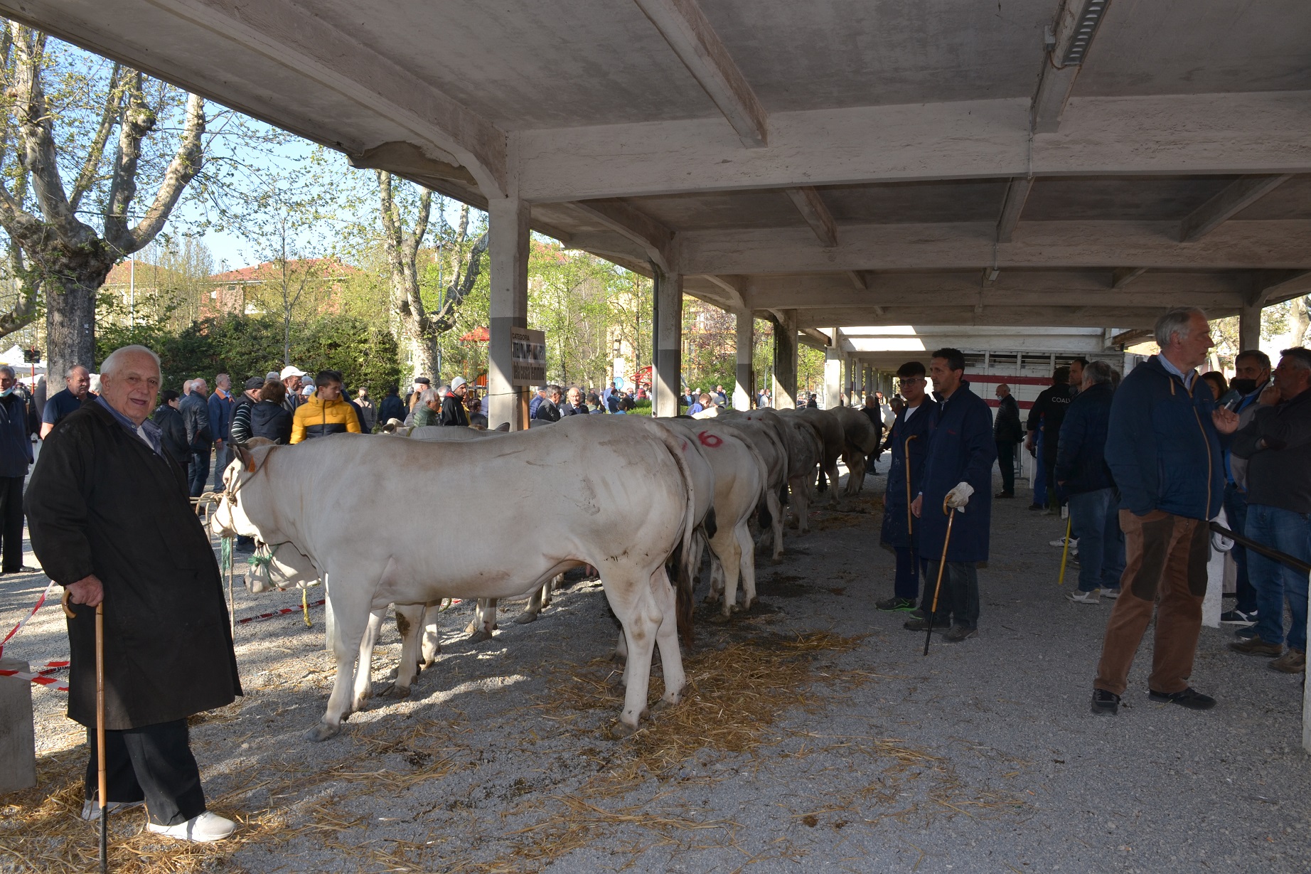 Successo di pubblico per la Fiera di Pasquetta
