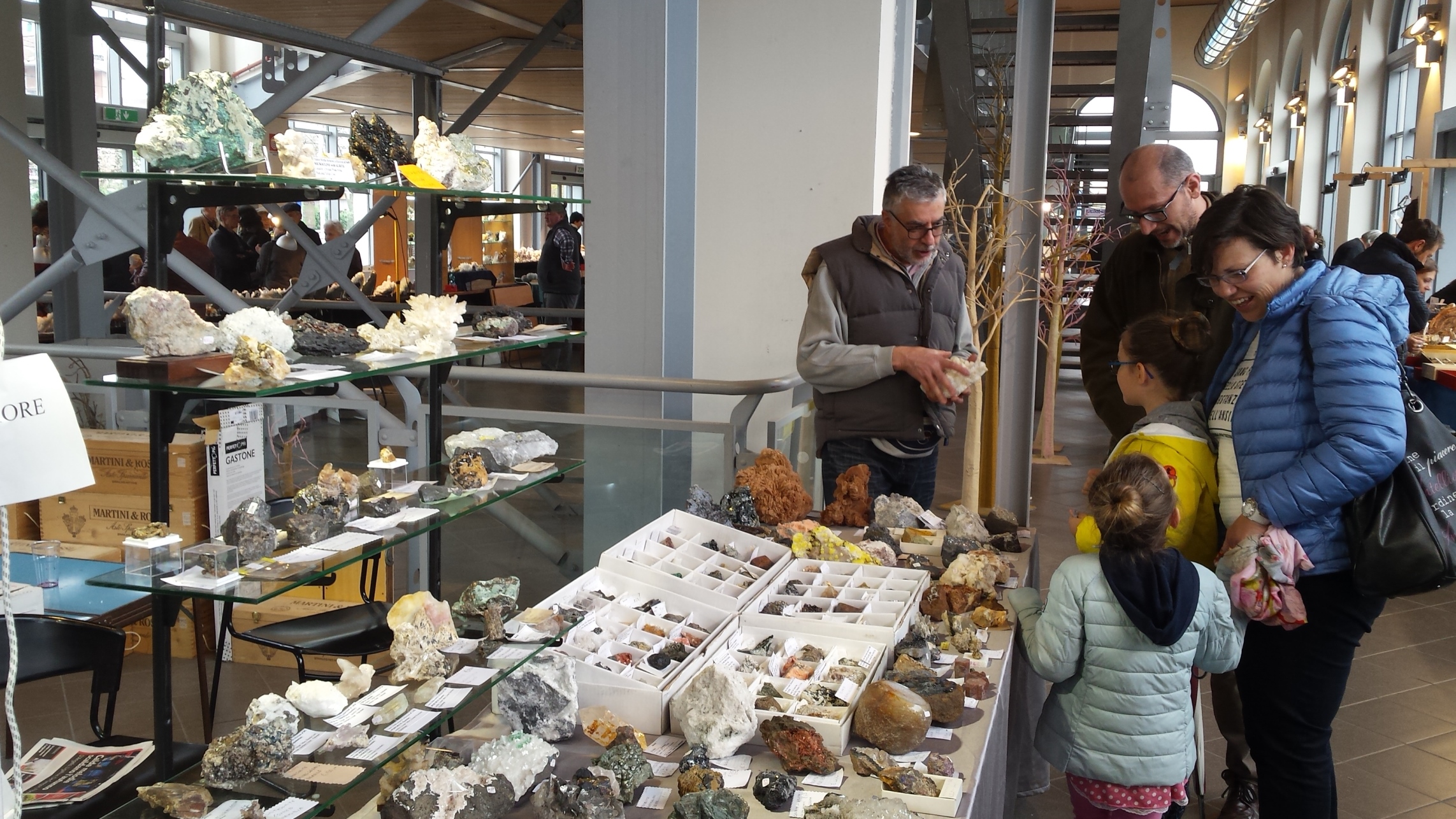 “GeoBra” 2019: minerali, fossili e gemme in mostra