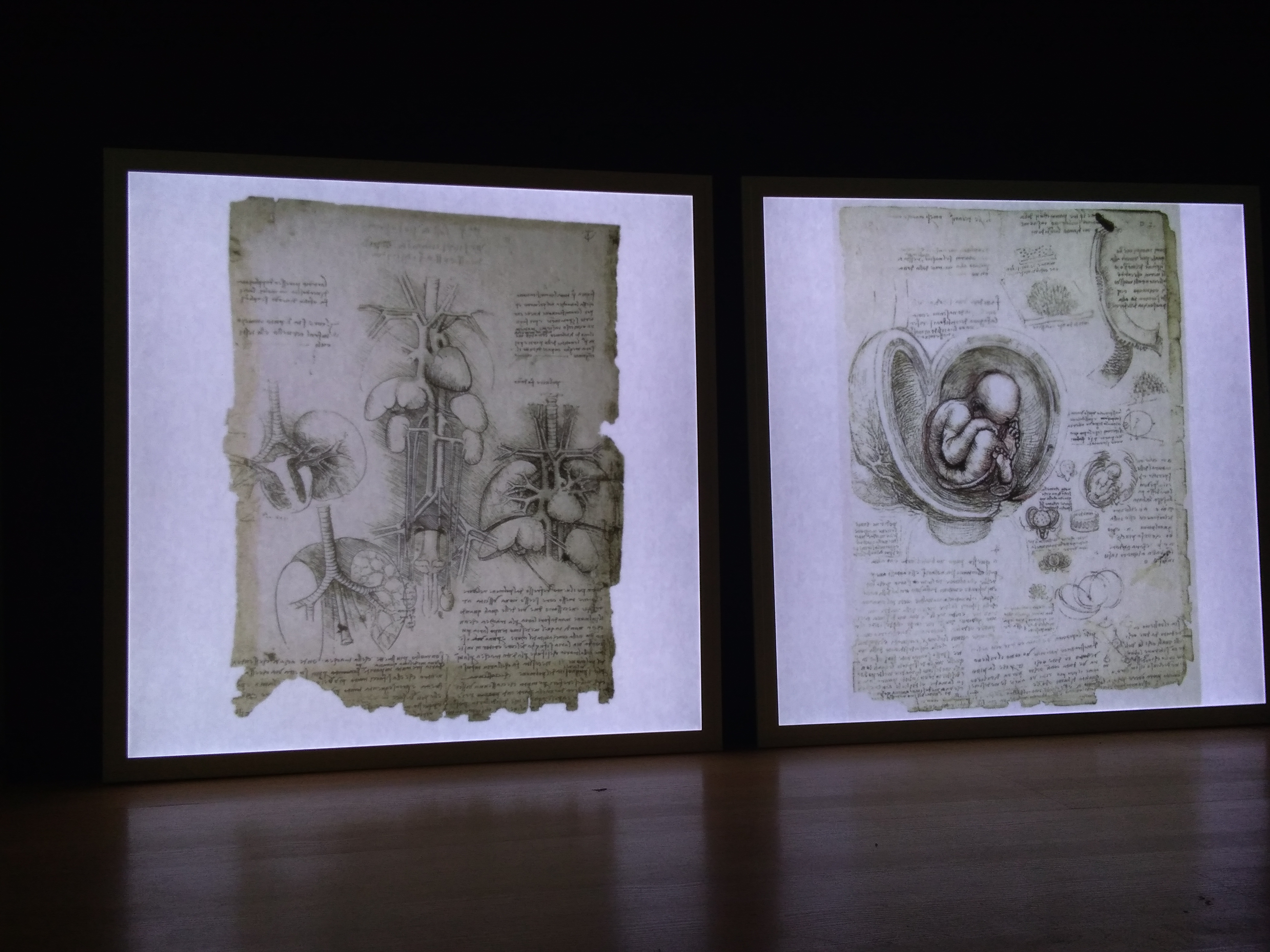 Una mostra su Leonardo Da Vinci ingegnere 