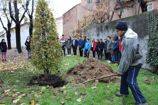 Festa dell’Albero a Bra: 20 nuovi alberi nelle scuole cittadine