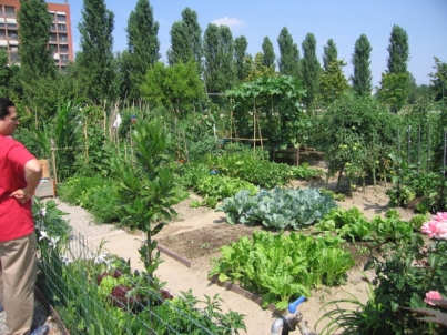 Bra: orti urbani, canone in scadenza