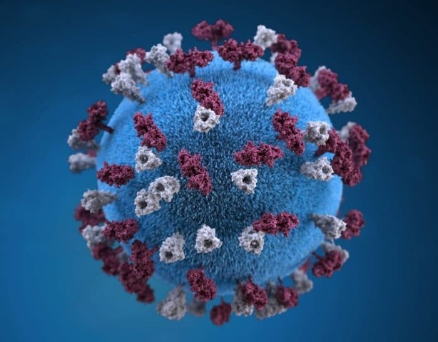 Emergenza coronavirus: nuova ordinanza del Sindaco