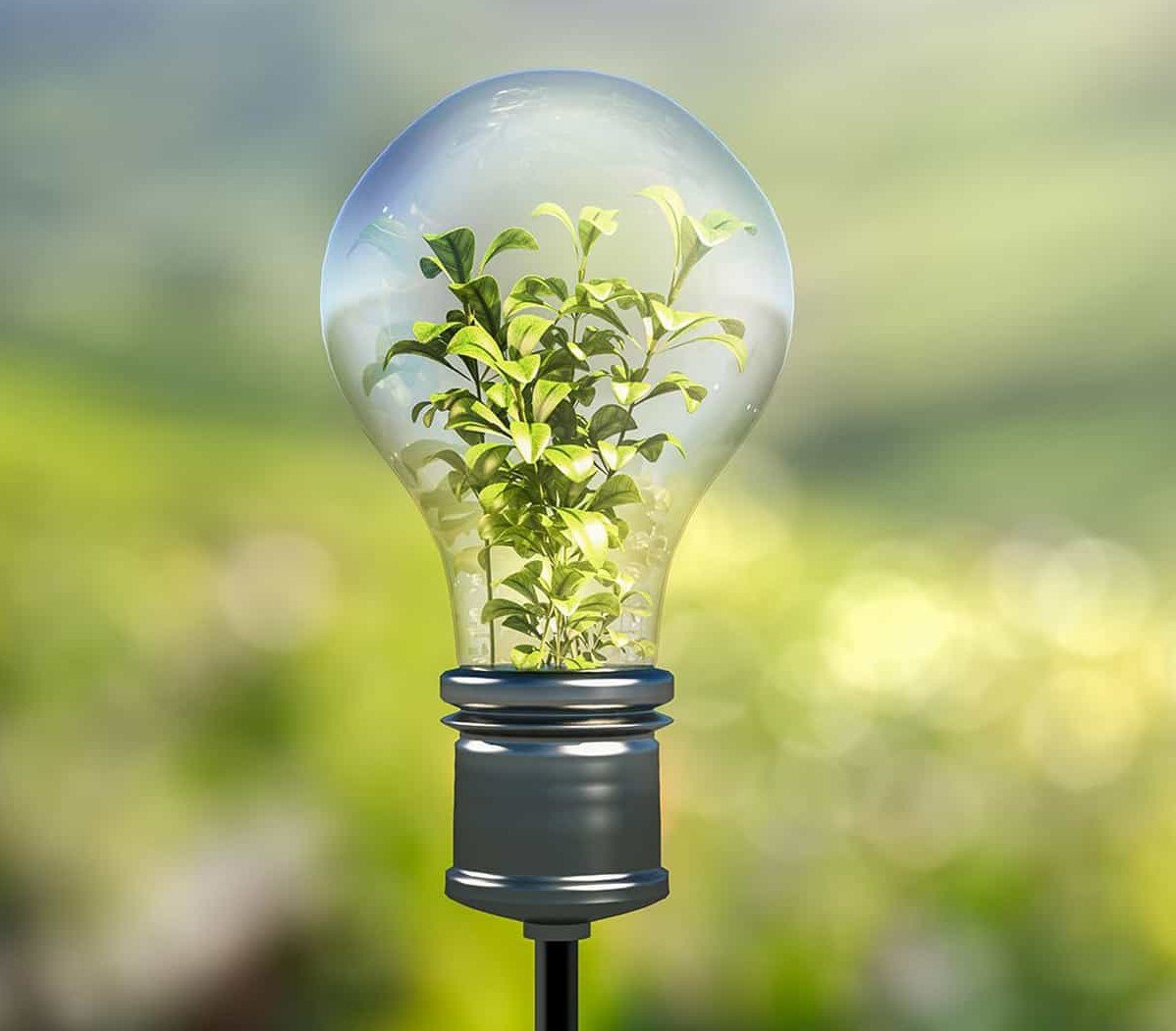 Bra aderisce alla campagna M’illumino di meno 