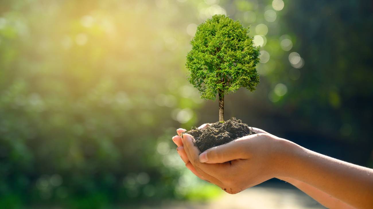 Bra adotta un Piano del Verde